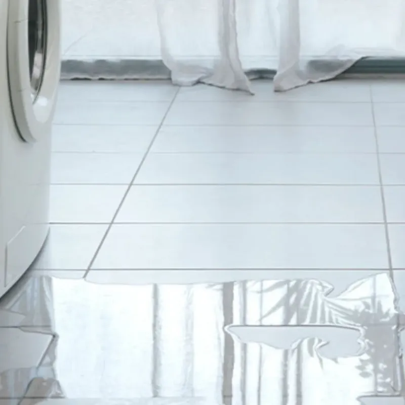 Appliance Leak Cleanup in Hicksville, OH