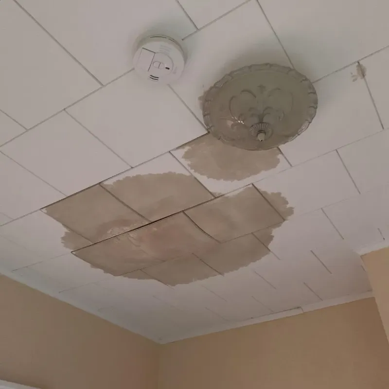 Ceiling Water Damage Repair in Hicksville, OH