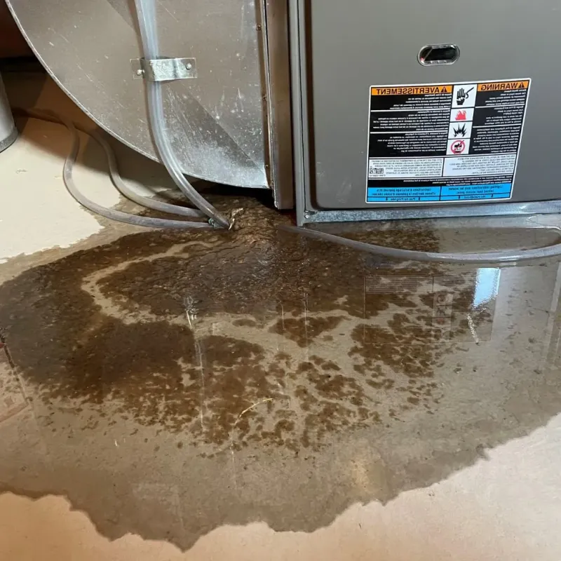 Pipe Burst and Leak Restoration in Hicksville, OH