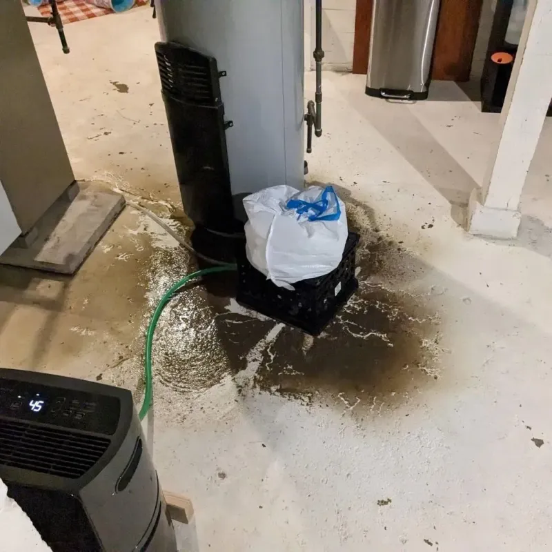 Sewage Backup Cleanup Service in Hicksville, OH